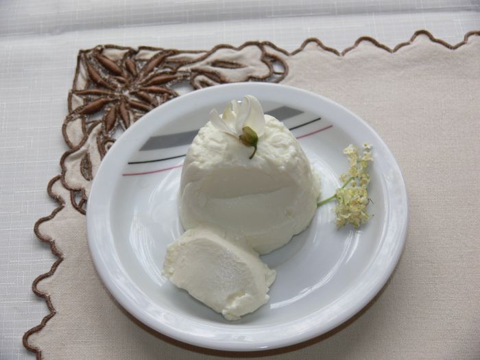 bezová a akátová panna cotta, naservírovaná